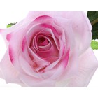 цветы искусственные роза раскрытая розовая 70 см - Фото 2