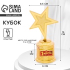 Кубок «1 место», наградная фигура звезда, золото, пластик, 16 см - Фото 1