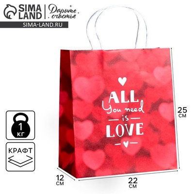 Пакет подарочный крафт, упаковка, All you need is love, 22×25×12 см
