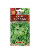 Семена Салат «Айсберг» кочанный, 0.5 г, «Аэлита» - Фото 5