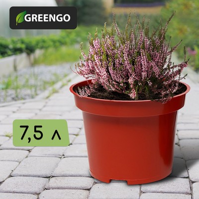 Горшок для рассады, 7.5 л, d=26 см, h=20 см, пластик, цвет терракот, Greengo