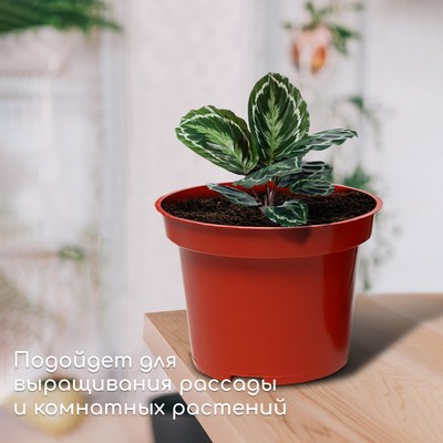 Горшок для рассады, 7.5 л, d=26 см, h=20 см, пластик, цвет терракот, Greengo