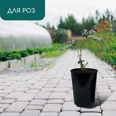 Горшок для рассады, для роз, 7 л, d=22 см, h=26 см, чёрный, Greengo