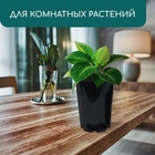 Горшок для рассады, для роз, 7 л, d = 22 см, h = 26 см, чёрный, Greengo 5397802 - фото 2288866