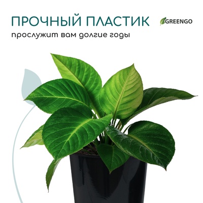 Горшок для рассады, для роз, 7 л, d=22 см, h=26 см, чёрный, Greengo