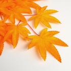 Декор «Листья на ветке», цвет оранжевый - Фото 2