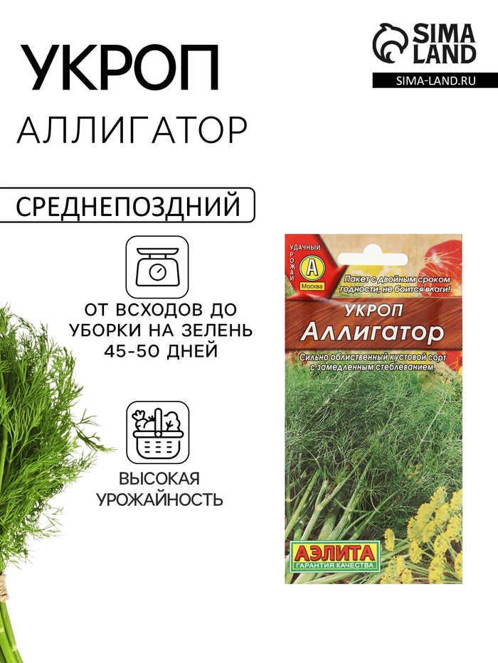 Семена Укроп "Аллигатор", 3г - Фото 1