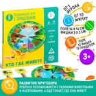 Развивающая игра «Кто где живёт?» с прищепками, 3+ 5238712 - фото 9119359