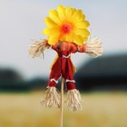 Огородное пугало «Солнышко», 16 см, h=50 см, МИКС, Greengo - Фото 2