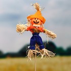 Огородное пугало «Тыква», 16 см, h=50 см, МИКС, Greengo - Фото 1