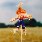 Огородное пугало «Тыква», 16 см, h=50 см, МИКС, Greengo - Фото 2