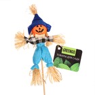 Огородное пугало «Тыква», 16 см, h=50 см, МИКС, Greengo - Фото 5