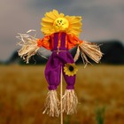 Огородное пугало «Солнце», 25 см, h=50 см, МИКС, Greengo - Фото 2