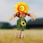 Огородное пугало «Солнце», h = 50 см, МИКС, Greengo - Фото 4