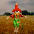 Огородное пугало, h=80 см, МИКС, Greengo - Фото 2