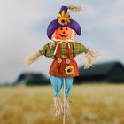 Огородное пугало «Тыква», h=80 см, МИКС, Greengo - Фото 1