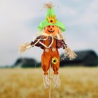 Огородное пугало «Тыква», h=80 см, МИКС, Greengo - Фото 3