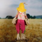 Огородное пугало, h=90 см, МИКС. Greengo - Фото 2