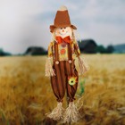 Огородное пугало, h=90 см, МИКС. Greengo - Фото 3