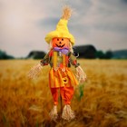 Огородное пугало «Тыква», h=100 см, МИКС. Greengo - Фото 2