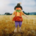 Огородное пугало «Тыква», h=100 см, МИКС. Greengo - Фото 4