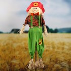 Огородное пугало, h=110 см, МИКС, Greengo - Фото 3