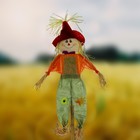 Огородное пугало, h=153 см, МИКС, Greengo - Фото 4