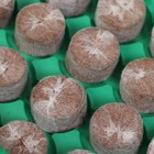 Мини-парник для рассады: кокосовая таблетка d = 3 см (24 шт.), парник 25 × 17,5 см, jiffy - Фото 6