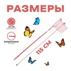 Сачок детский, бамбуковая ручка 115 см, d=24 см, цвета МИКС - Фото 2