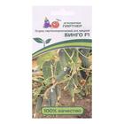 Семена огурца "Бинго", F1, 5 шт. - Фото 3