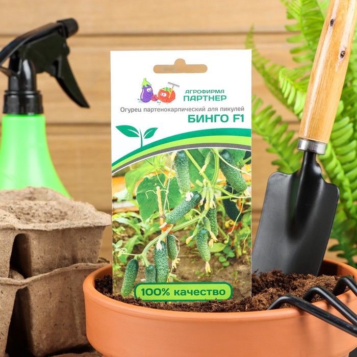 Семена огурца "Бинго", F1, 5 шт. - Фото 1