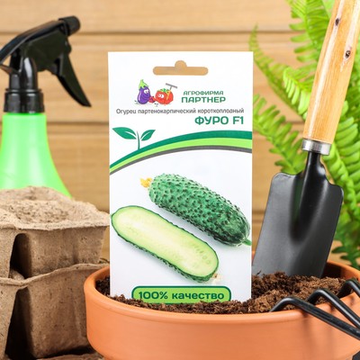 Семена огурца "Фуро", F1, 5 шт.