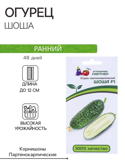 Семена огурца  "Шоша", F1, 5 шт.