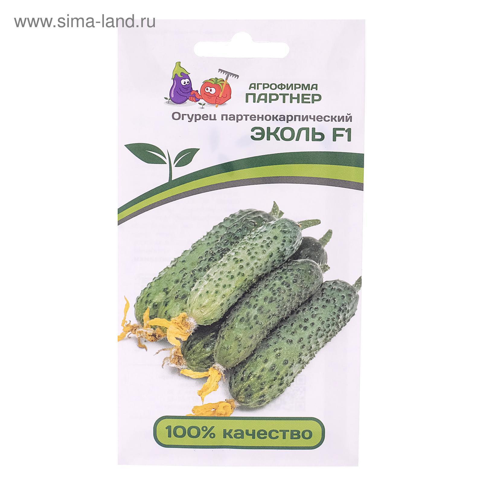 Семена огурца "Эколь", F1, 5 шт. (5481480) - Купить по цене от 93.00 ...