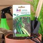 Семена огурца "Солтис", F1, 5 шт. - Фото 3