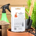 Семена Томат «Пламя», F1, детерминантный,10 шт. - Фото 2