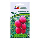 Семена Томат «Камелот», F1, индетерминантный 5 шт., «Партнёр» - Фото 1