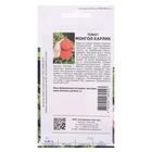 Семена Томат "Монгол Карлик",супердетерминантный,низкорослый, 10 шт. - Фото 2