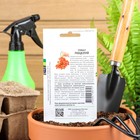 Семена Томат "Поцелуй", индетерминантный,высокорослый, 10 шт - Фото 2