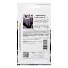 Семена Баклажан "Андрюша", F1, 10 шт. - Фото 4