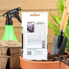 Семена Баклажан "Андрюша", F1, 10 шт. - Фото 2