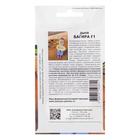 Семена Дыня "Багира", F, 5 шт - Фото 2