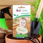 Семена Дыня "Багира", F, 5 шт - Фото 3