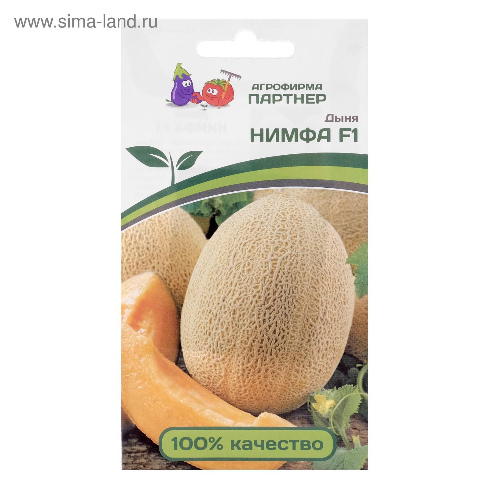 Вьетнамская Дыня Семена Купить Москва