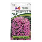 Семена цветов Петуния "Альбертина", F1, каскадная, мини многоцветковая, 5 шт - Фото 1