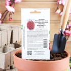 Семена цветов Петуния  "Беатрис",  F1,  каскадная,  мини красная, 5 шт - фото 24496258