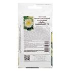 Семена цветов Петуния "Лаймлайт", F1, каскадная, лимонная , 5 шт - Фото 2