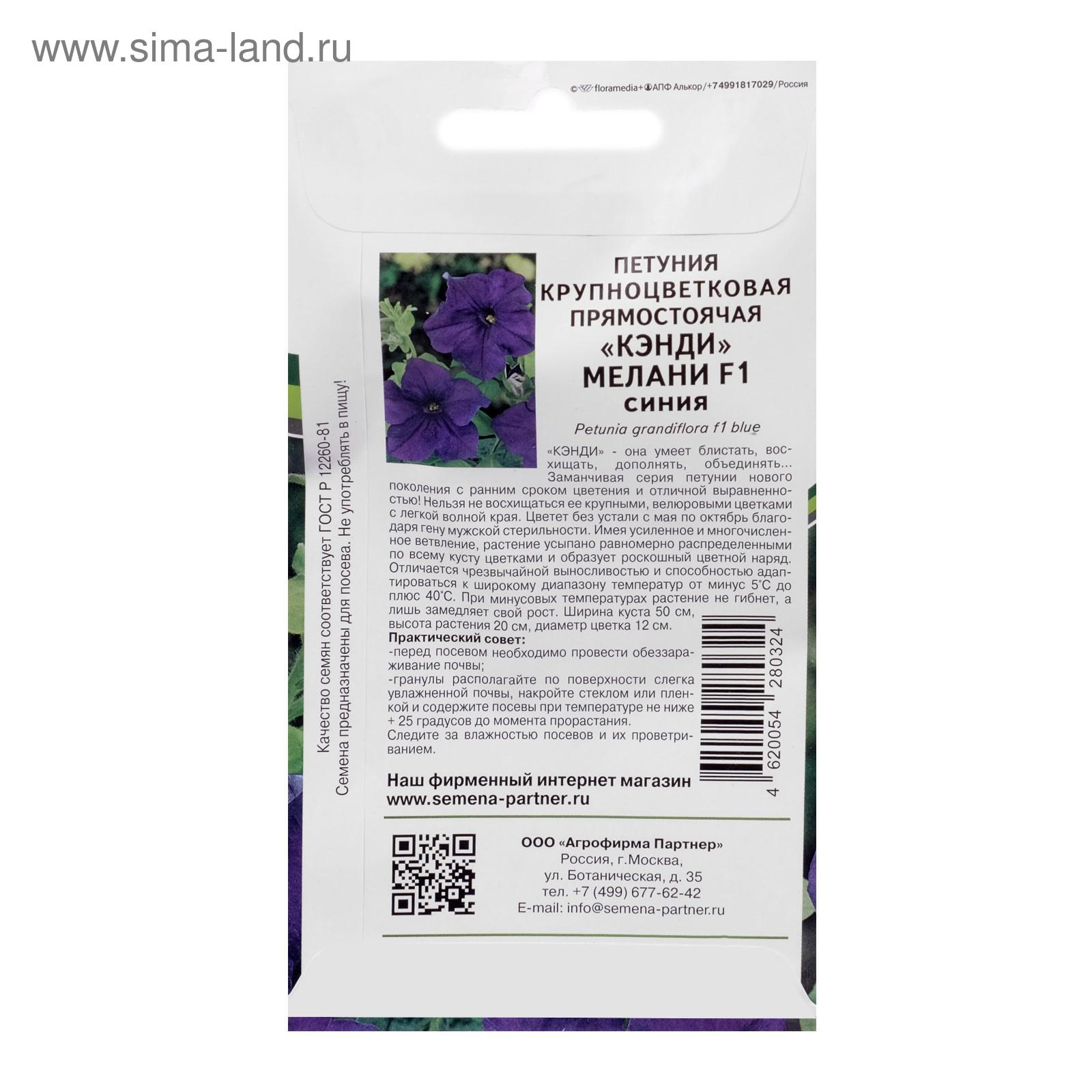 Купить Семена Петунии Профессиональные В Новосибирске