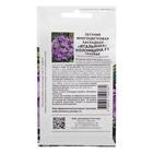 Семена цветов Петуния "Коломбина", F1,  каскадная,  голубая, 5 шт - Фото 2