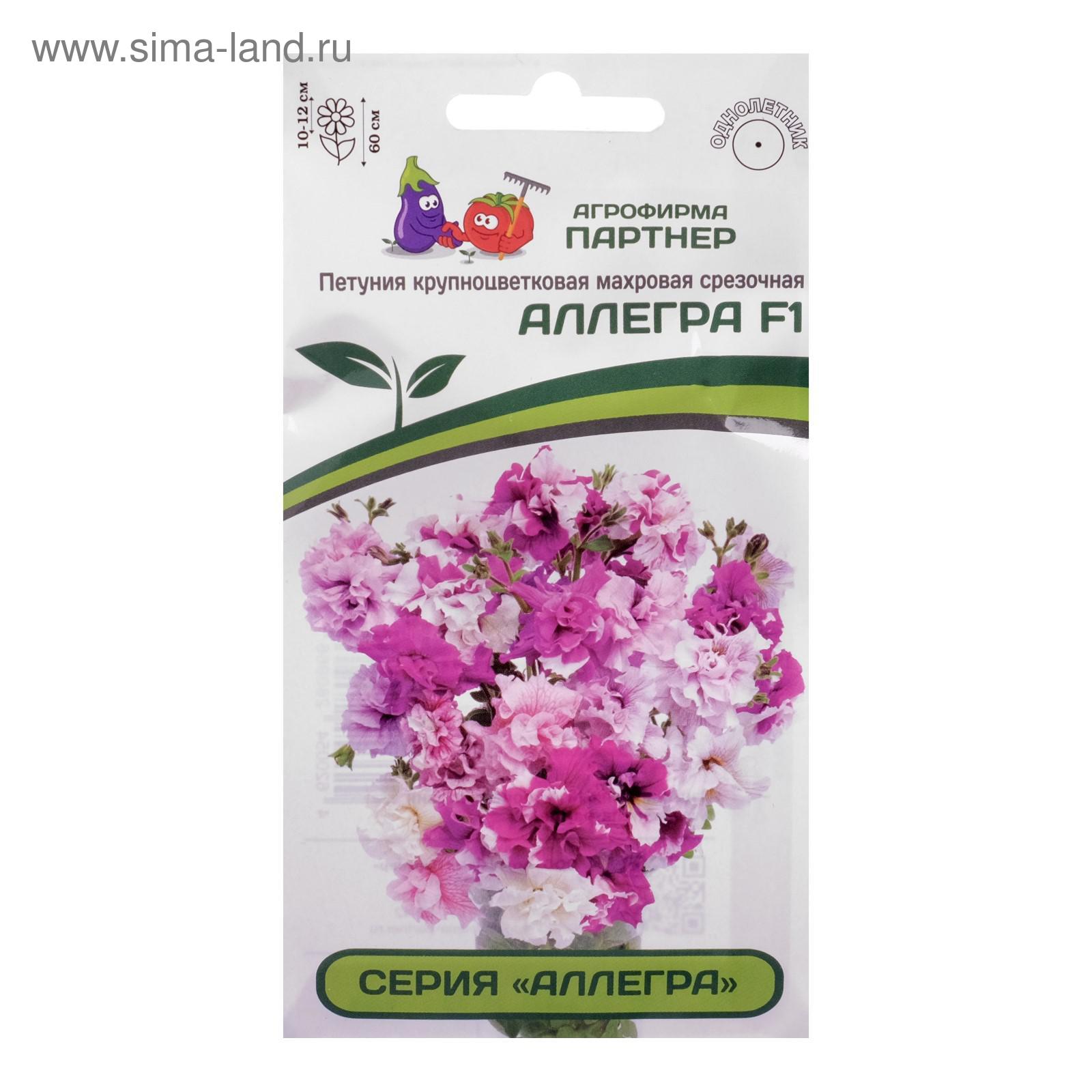 Петуния Аллегра: описание сорта, характеристики, посадка и уход, отзывы Петуния Аллегра описание сорта характеристики посадка и уход отзывы